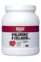 HYALURONIC  400g.jpg